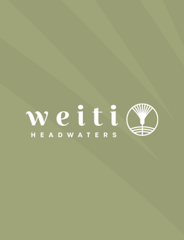 logo brand design weiti headwaters