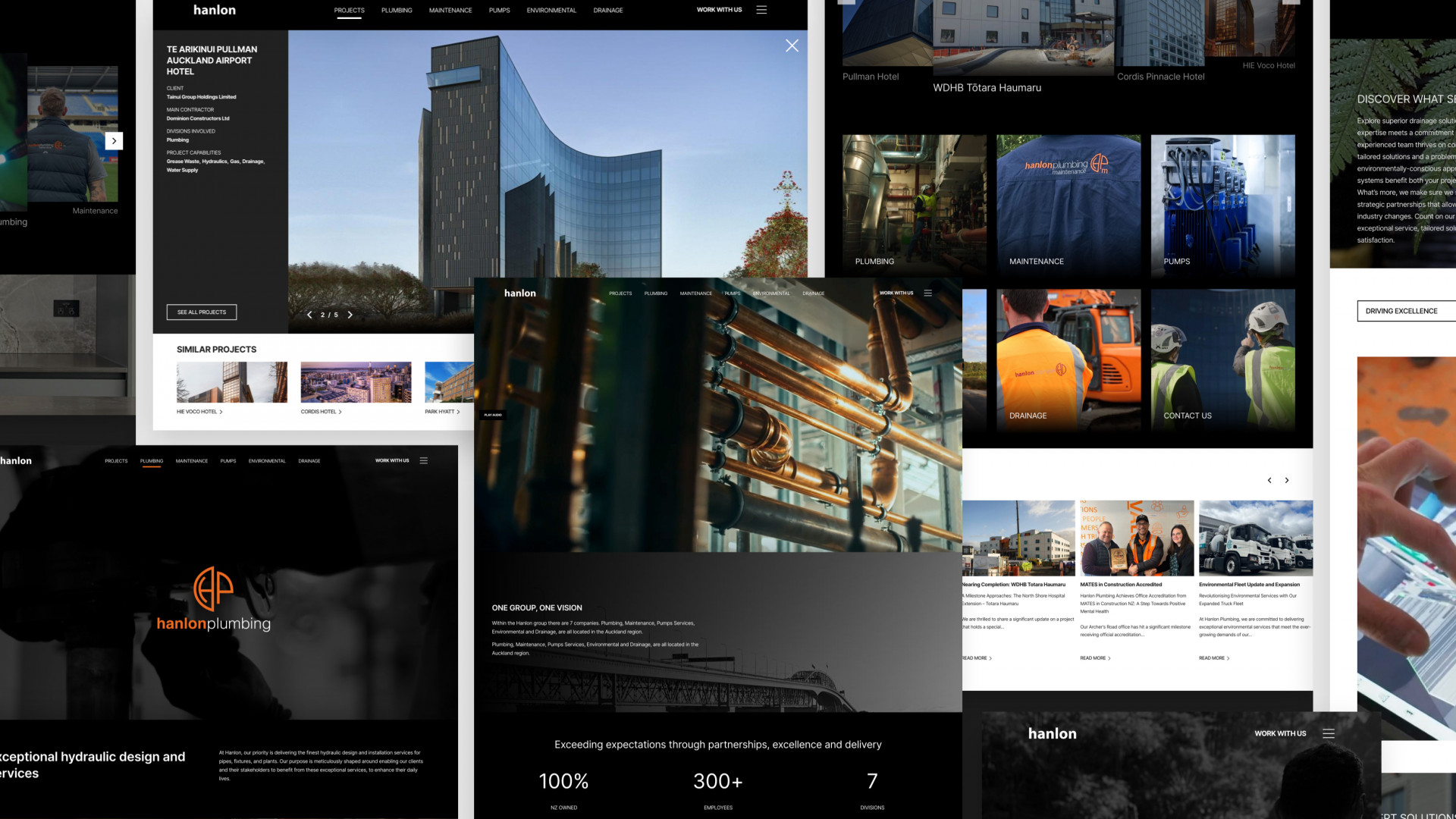 web design silverstripe5 hanlon