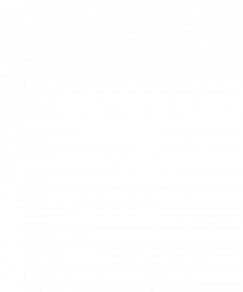 SS image google 2 v2